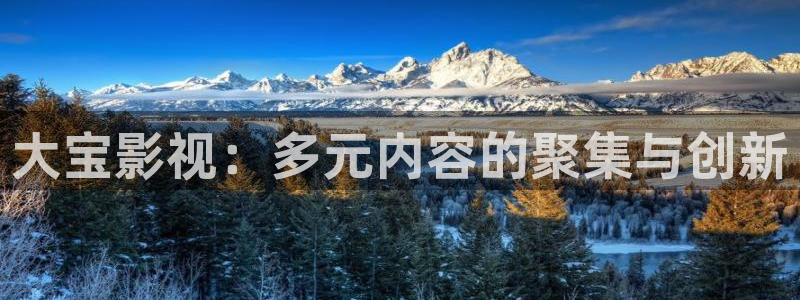 歐美影院在線觀看：大寶影視：多元內容的聚集與創新